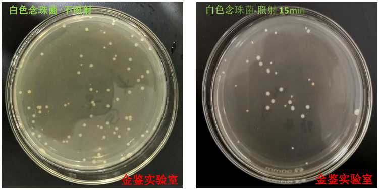 1715567822142635.png 3.png