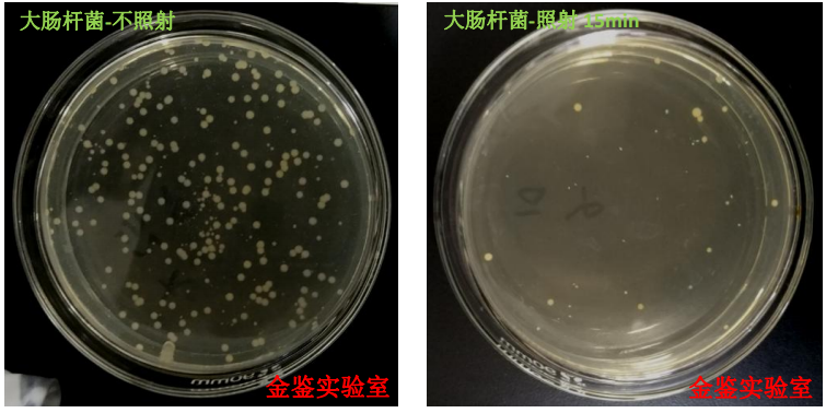 1715567873206808.png 5.png