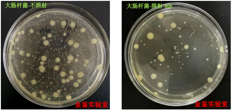 1715567914538102.png 7.png