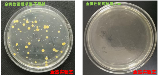 1715567971184986.png 10.png